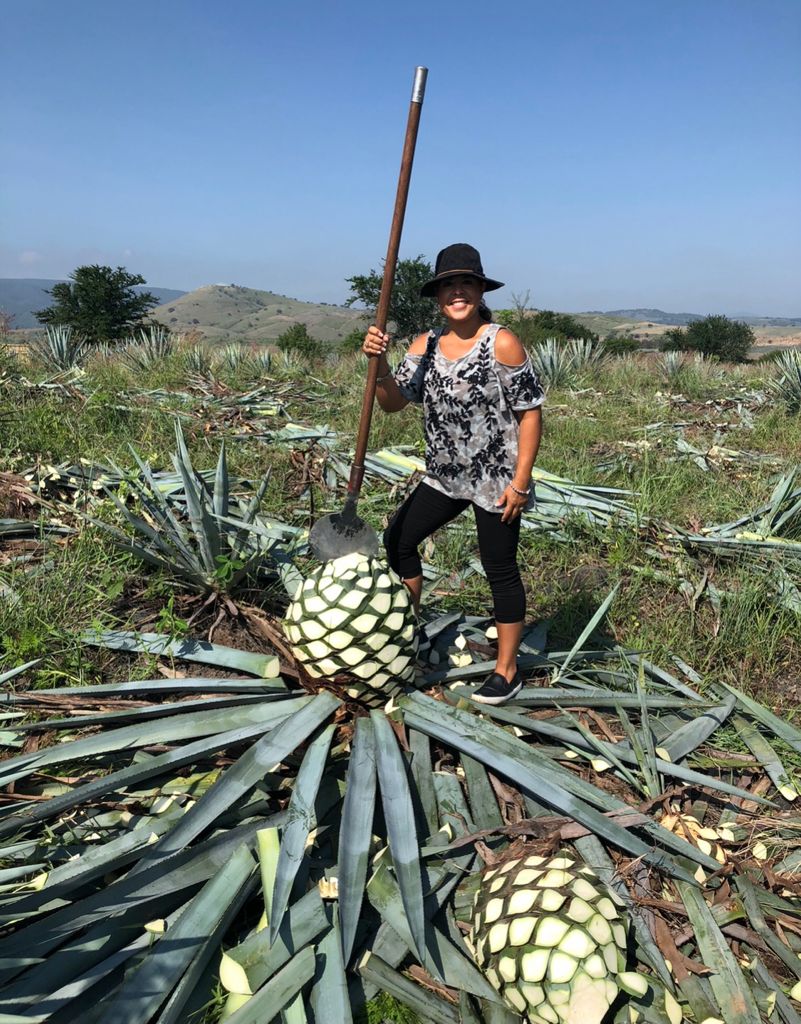 MariCarmen holding a coa, the traditional tool used to harvest the agave piñas