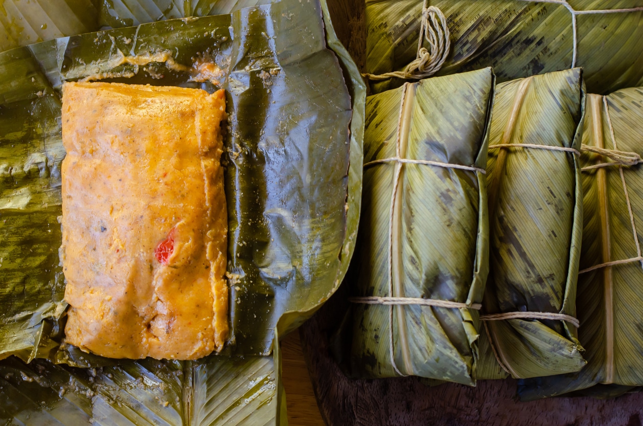 Lisa's Tamales with Chicken & Pork from Panama – Familia Kitchen