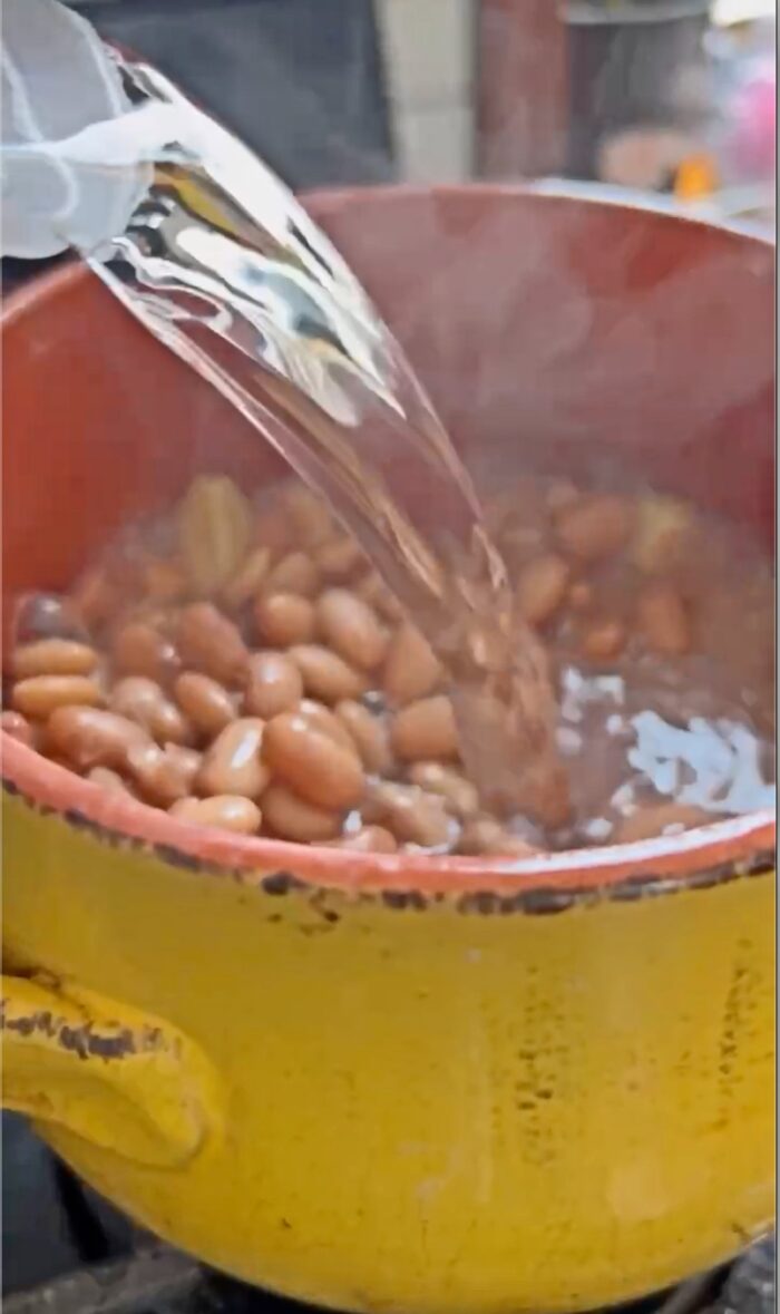 Vivi frijoles stewed beans pinto