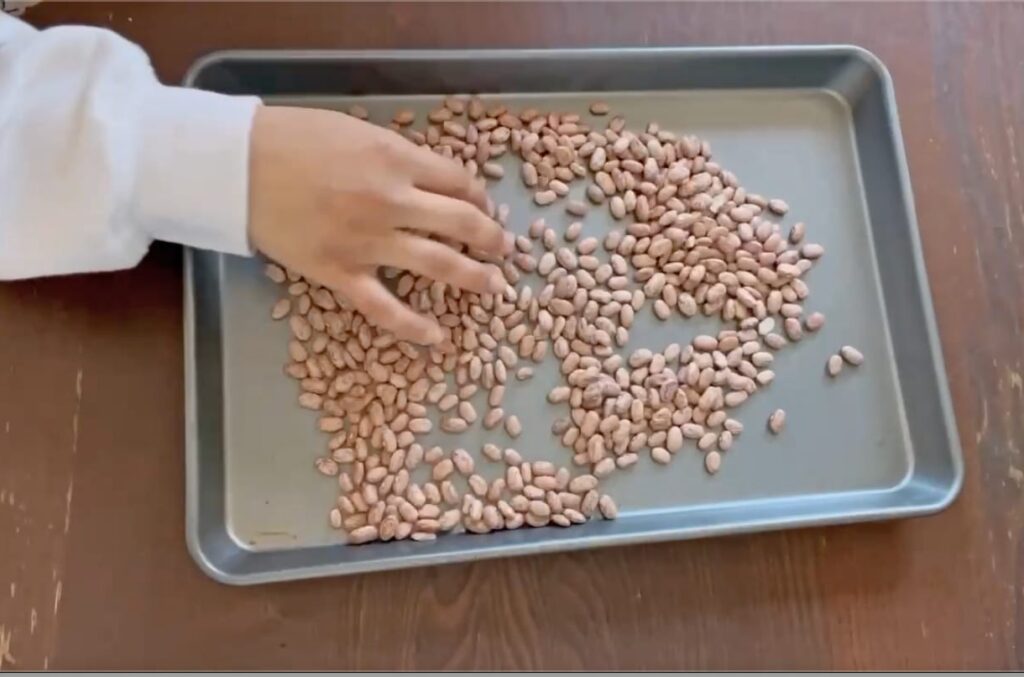Vivi frijoles stewed beans pinto